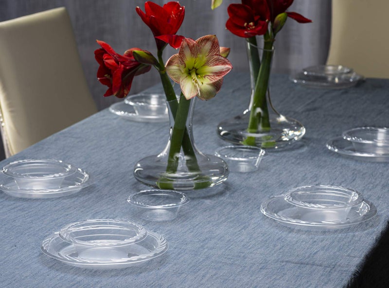 PLASTICPRO مجموعة أطباق الحفلات البلاستيكية الشفافة مقاس 25.4 سم من PLASTICPRO مقاس 10 بوصة، عبوة من 80 قطعة - Image 2